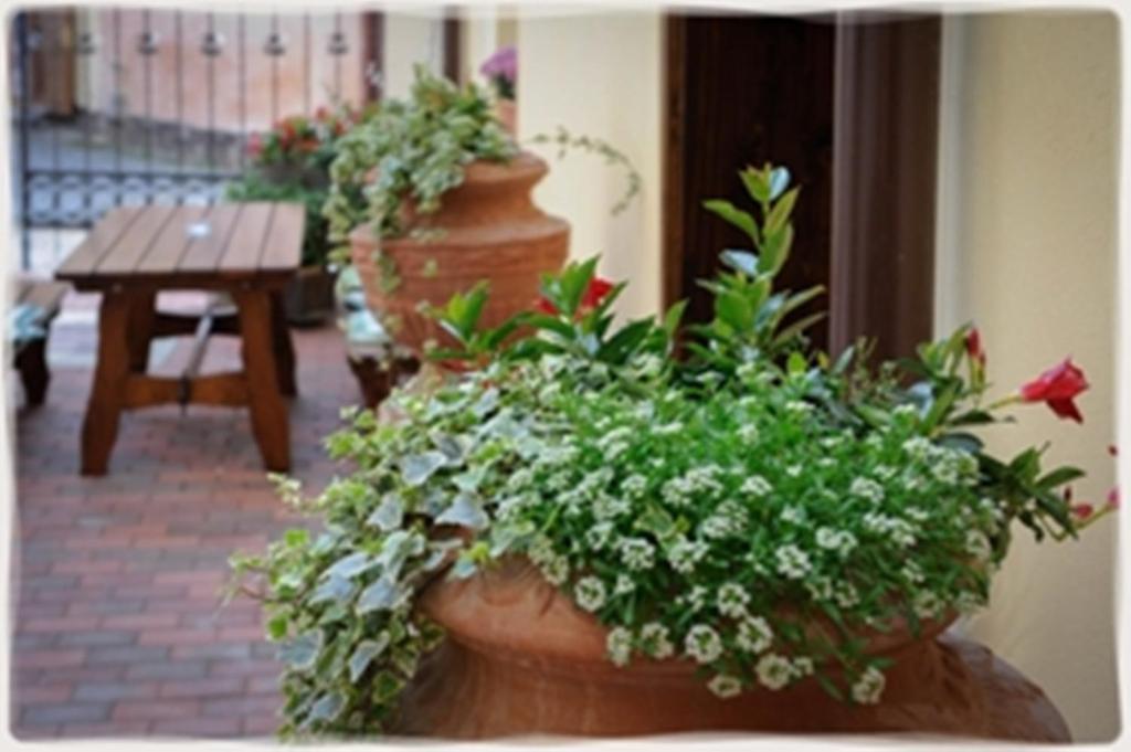 Hotel Villa Franca Sighisoara Luaran gambar
